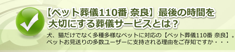 【ペット葬儀110番 奈良】最後の時間を大切にする葬儀サービスとは？